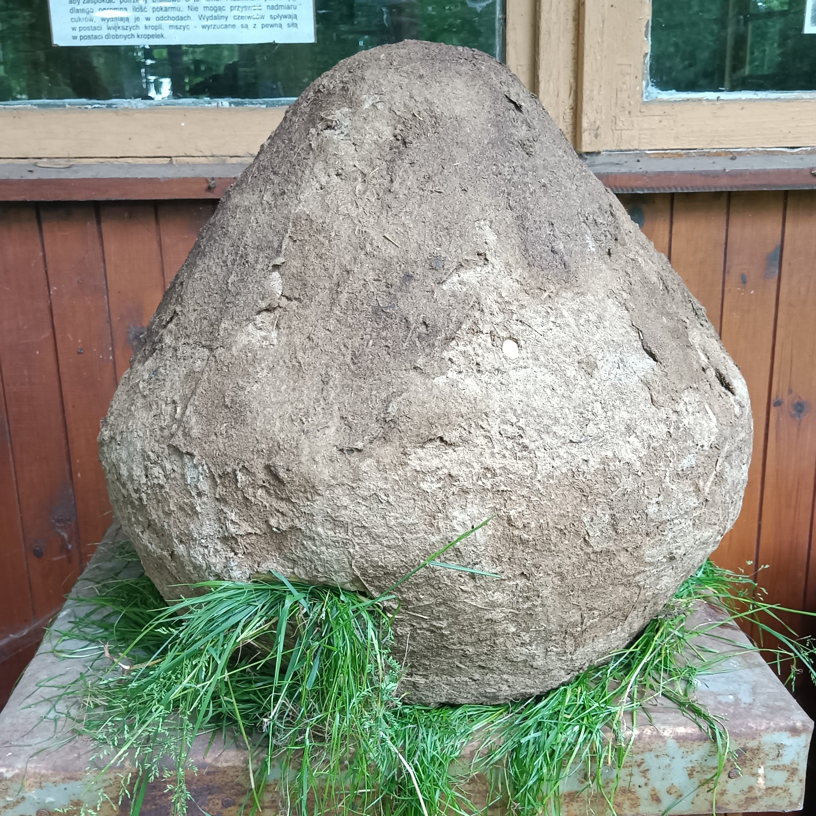 Hand made sraw hive. Skep from natural materials